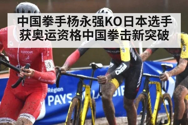 中国拳手杨永强KO日本选手获奥运资格中国拳击新突破